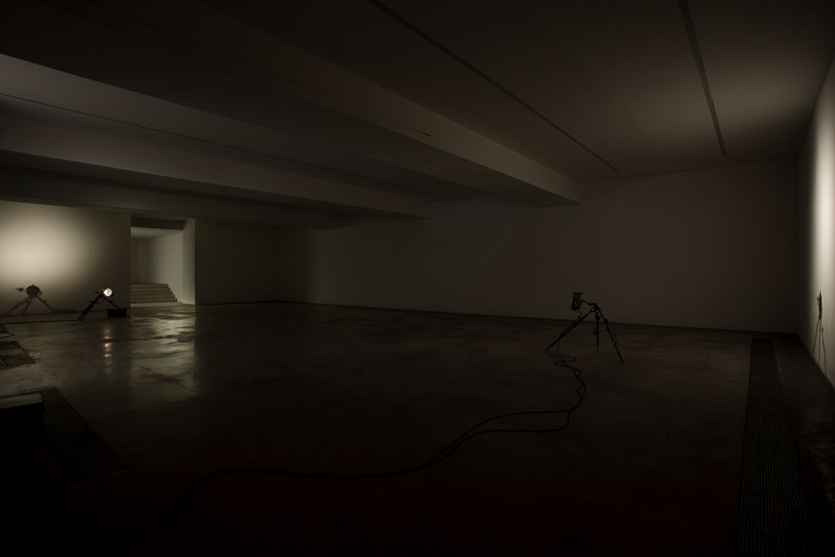 Finalmente solo, finalmente tutti – Elisabetta Benassi
