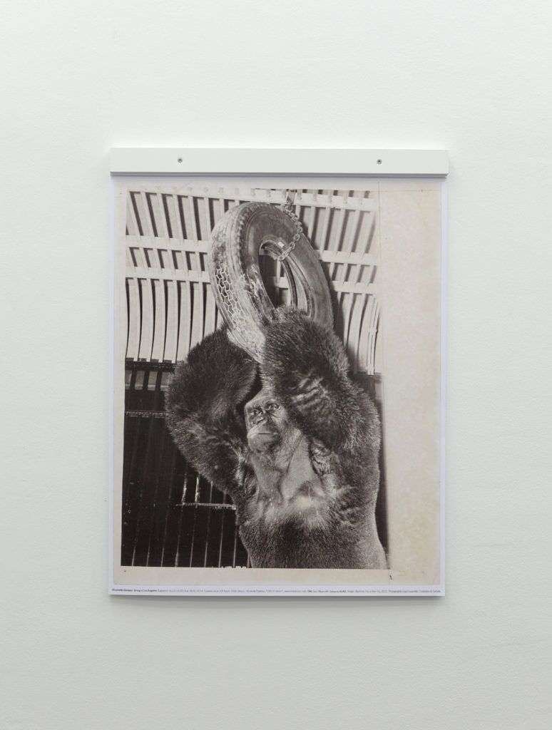Editions – Elisabetta Benassi